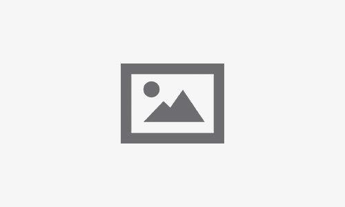 Bet365 Pokies New Zealand